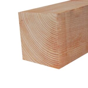 Lärche, Staffel, 100x100mm