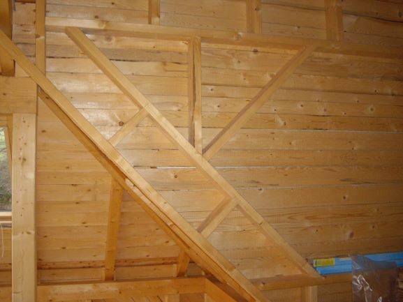 Fichte, Brett, 24x100mm