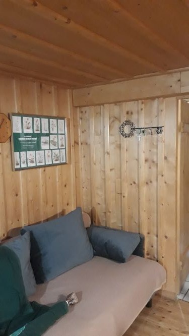 Fichte, Glattkant, 19x96mm